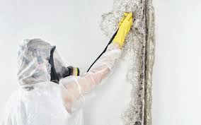 Best Mold Documentation for Insurance Claims in Tallapoosa, GA